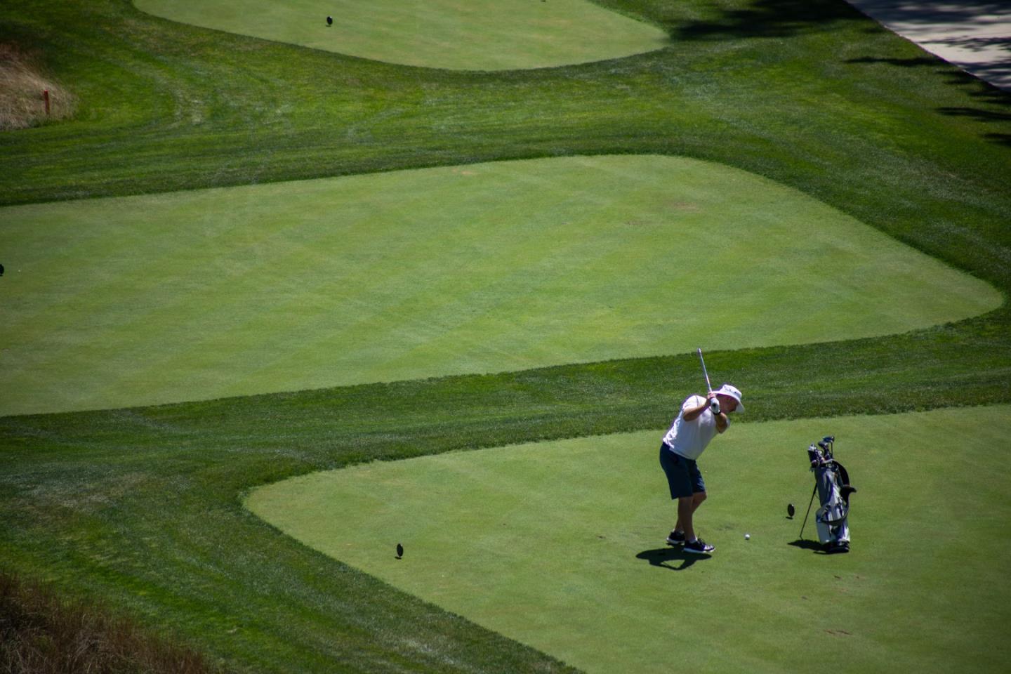 1204 Sharon Park DR 87