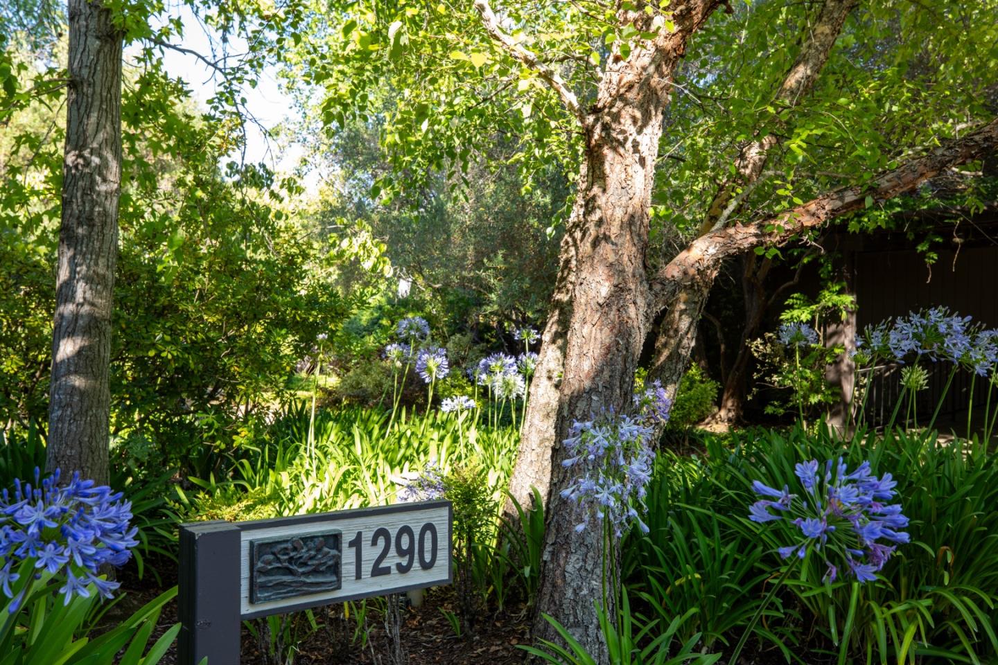 1290 Sharon Park Drive 47