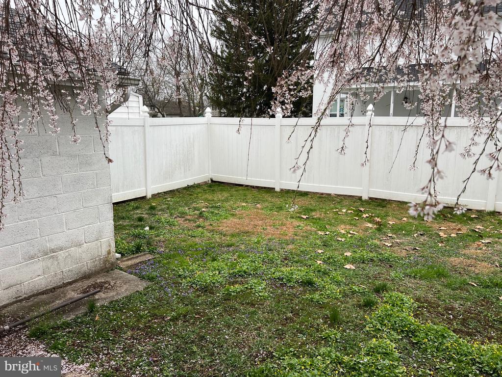 55 Lawson Ave