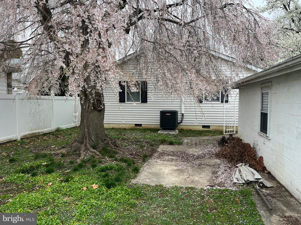 55 Lawson Ave