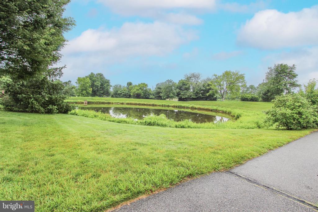 515 Abrams Ct