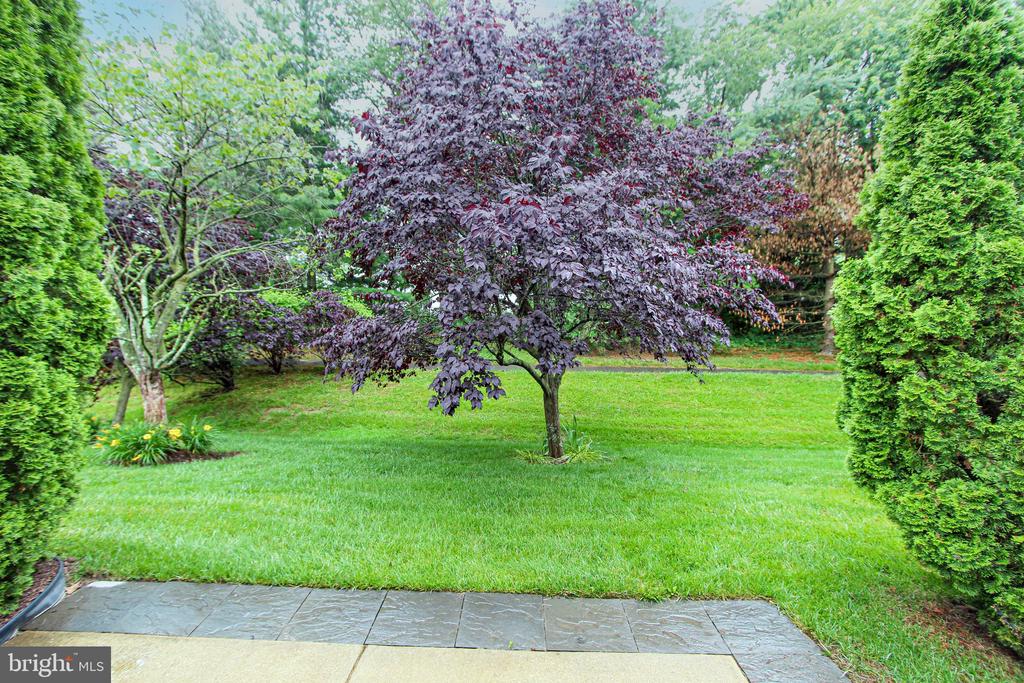 515 Abrams Ct