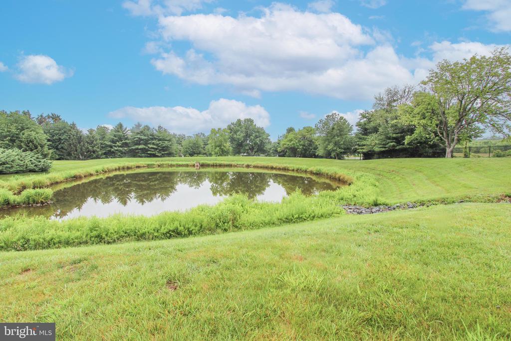 515 Abrams Ct