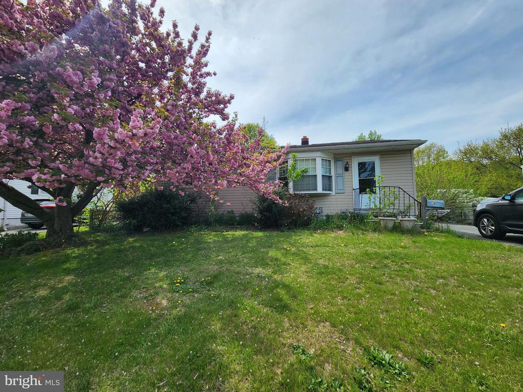 12 Stevens Ave