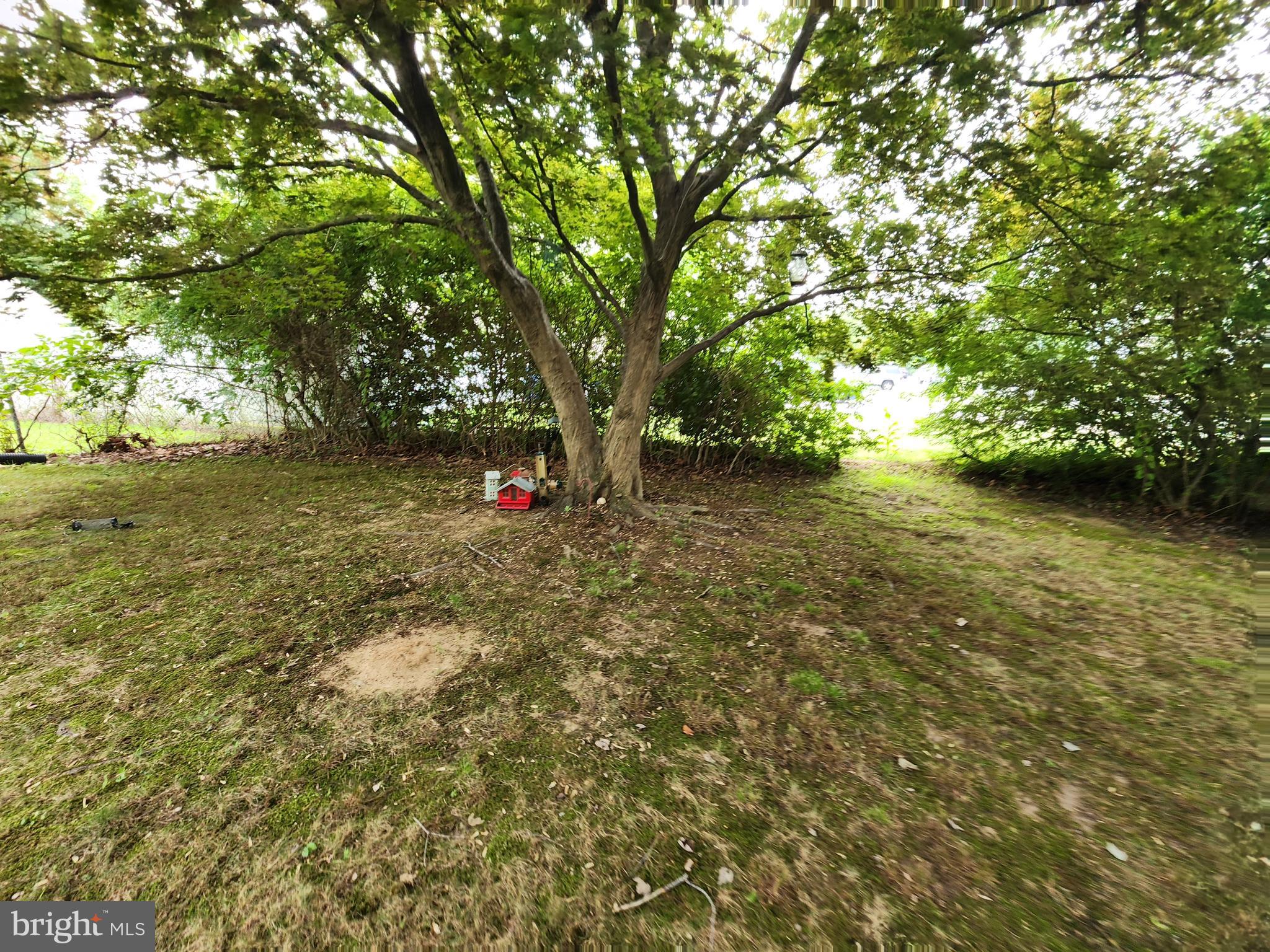 819 OLD HARMONY ROAD