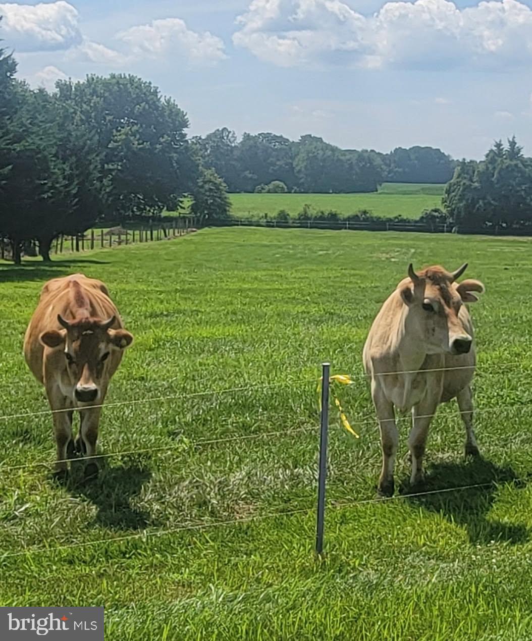 757 Doctor Miller Rd