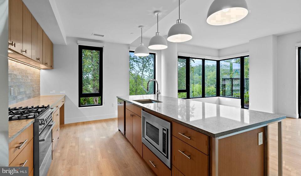 10511 STRATHMORE HALL STREET Unit: 913