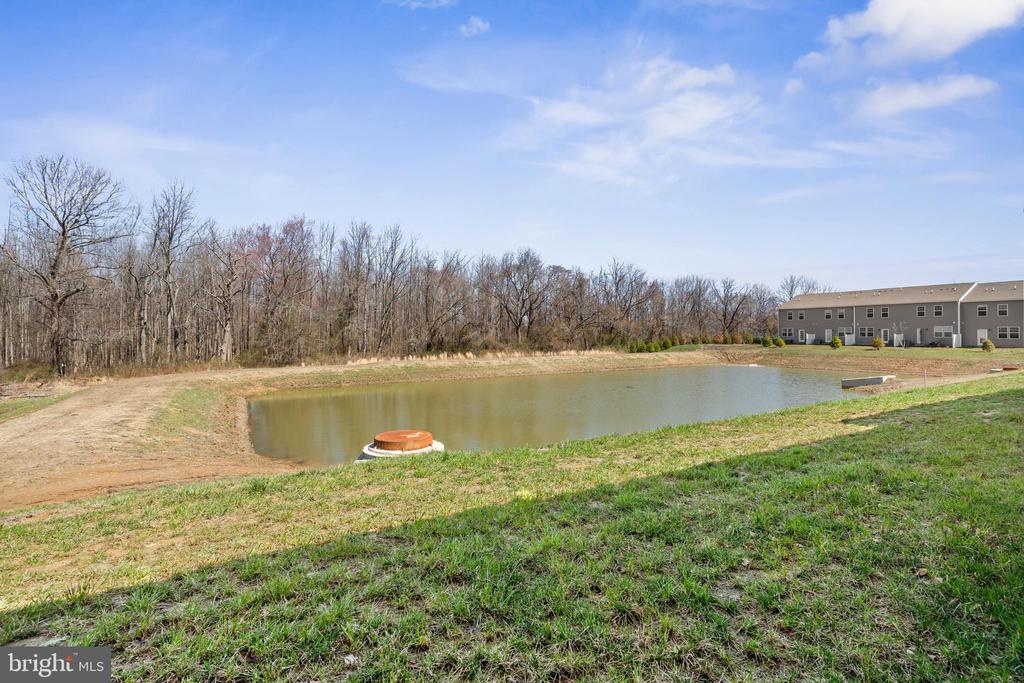 79 Alexander Way