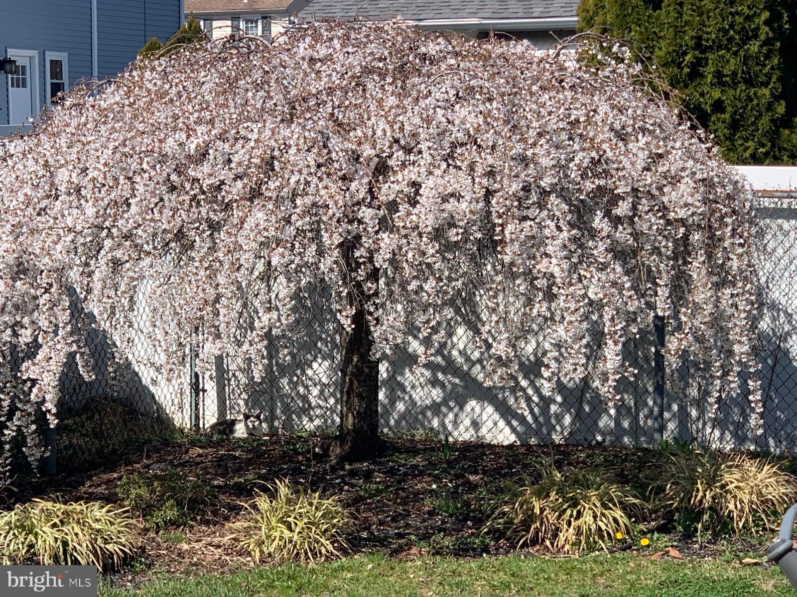 318 BRENTWOOD AVENUE