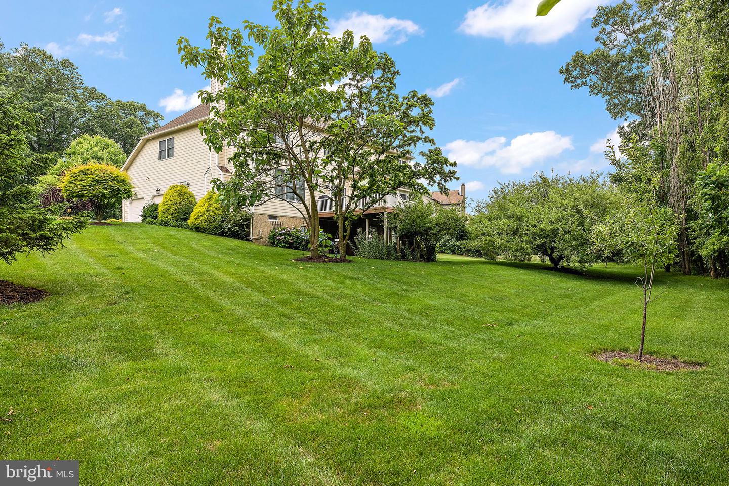 1959 Goldenridge Dr
