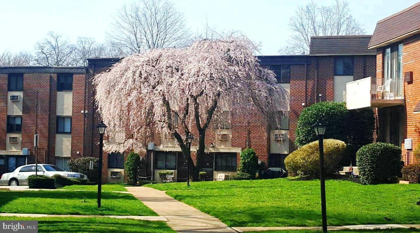 100 E Glenolden Ave #E19