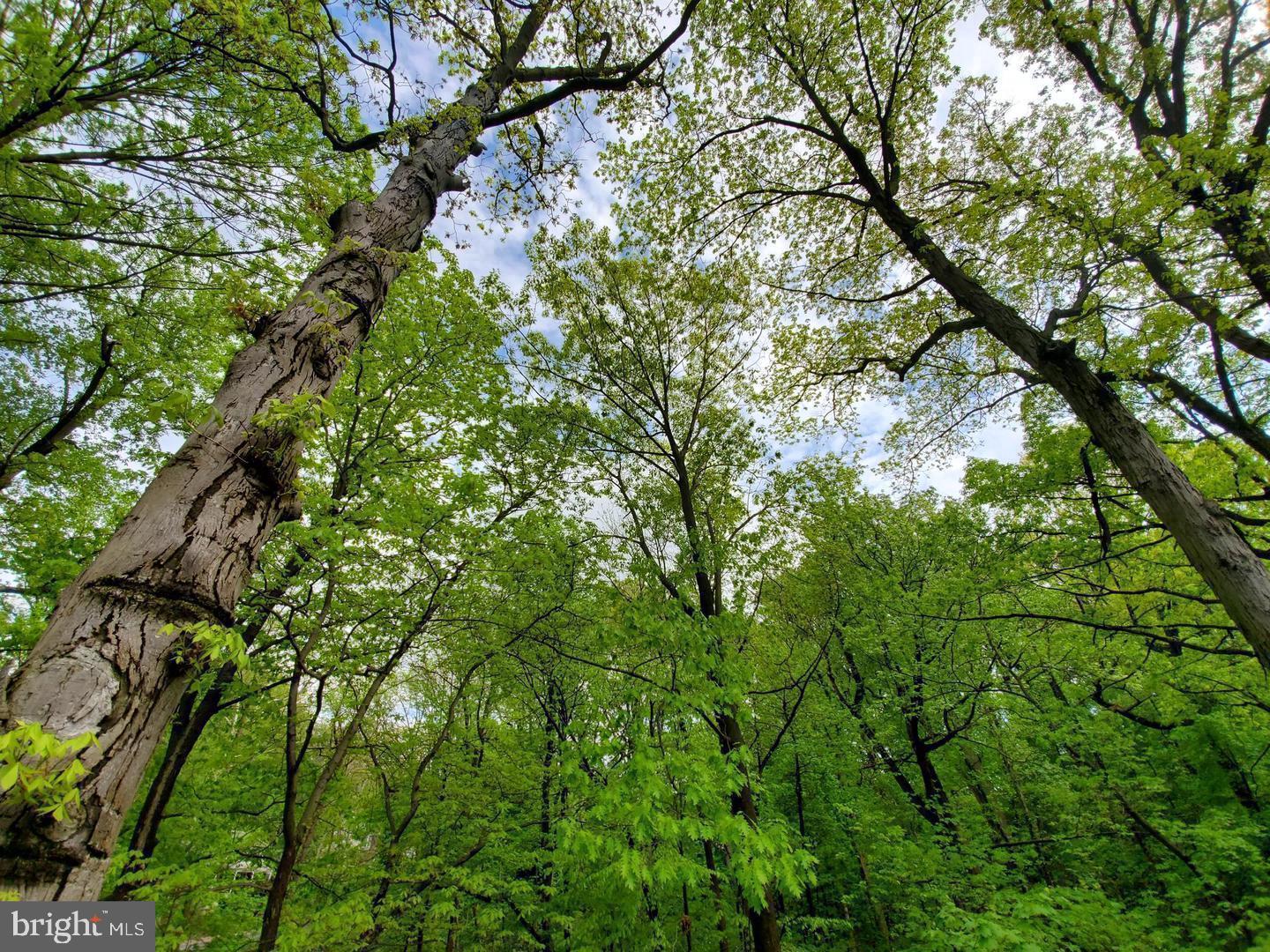 100 E Glenolden Ave #E19