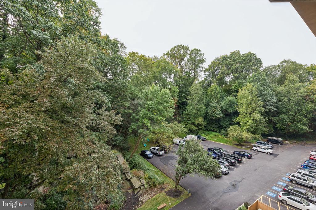 800 AVONDALE ROAD 6C