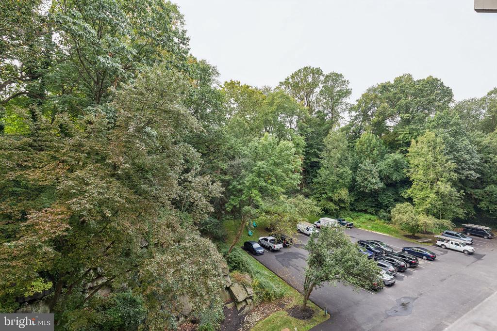 800 AVONDALE ROAD 6C