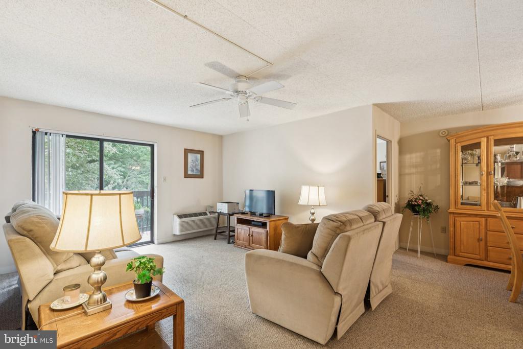800 AVONDALE ROAD 6C