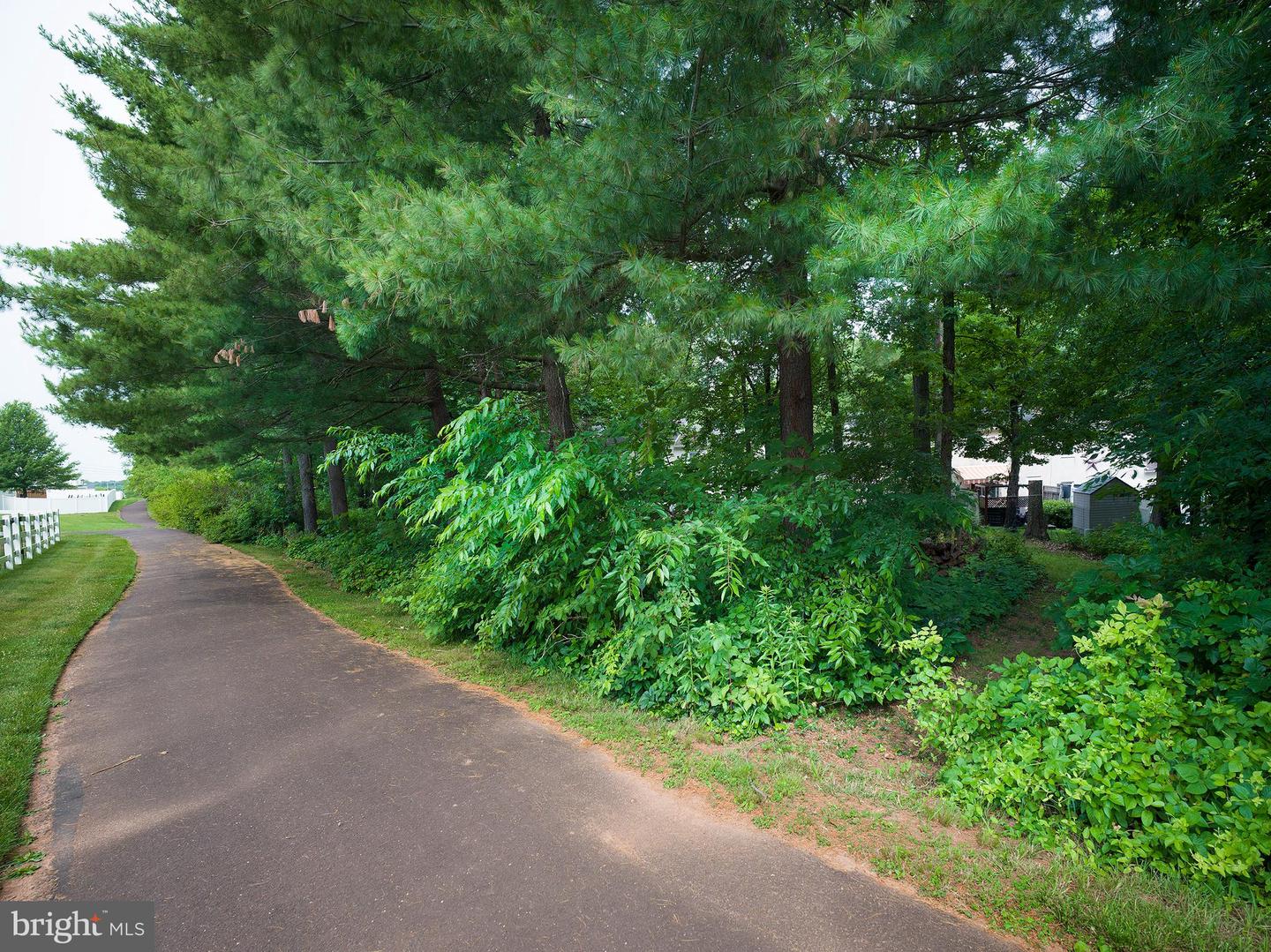 937 Dogwood Ln