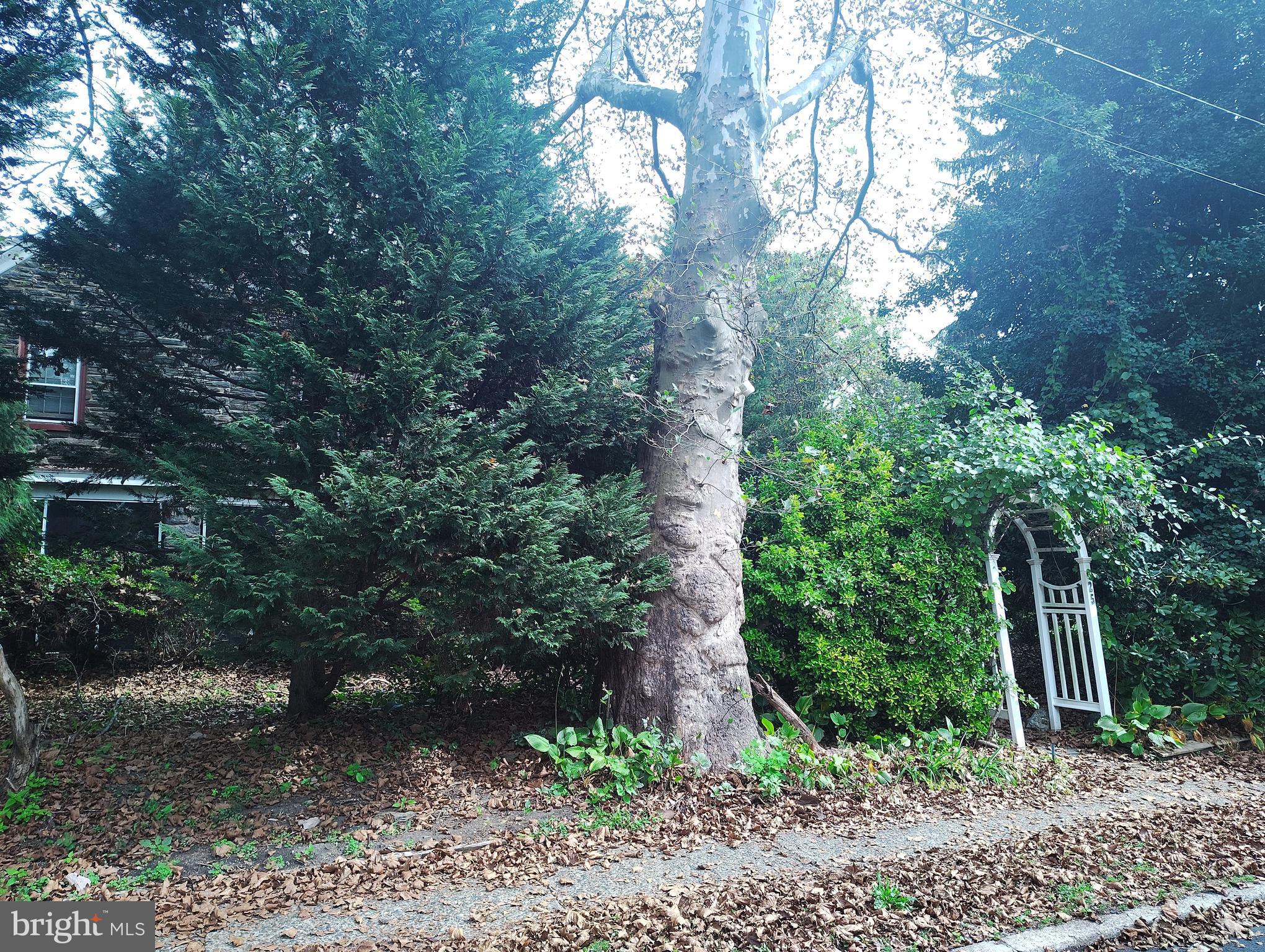 625 CHELTEN HILLS DRIVE