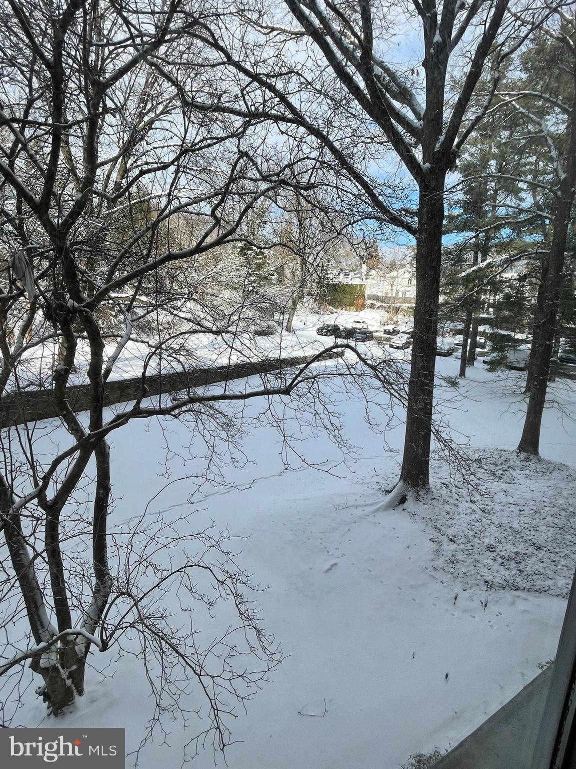 7900 OLD YORK ROAD 311-B