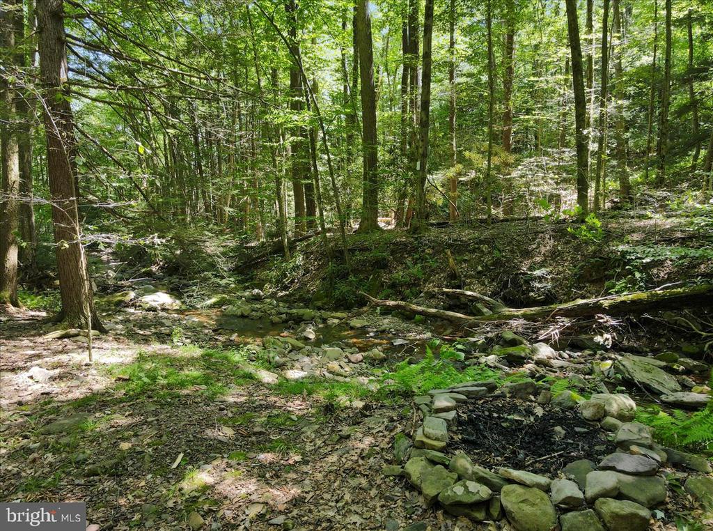 468 Devils Hole Rd