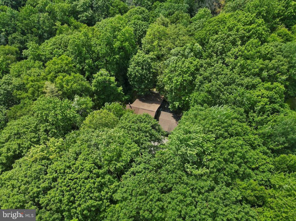 468 Devils Hole Rd
