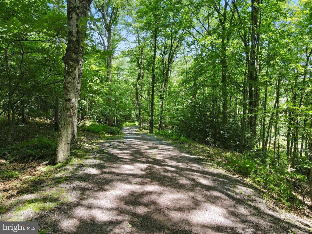 468 Devils Hole Rd