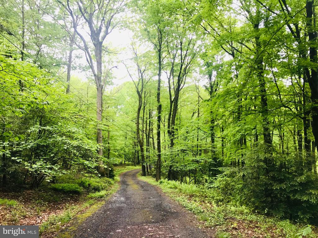 468 Devils Hole Rd