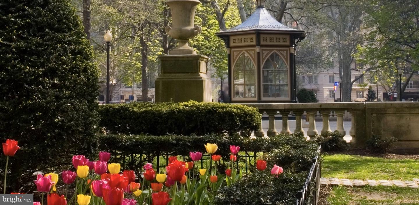 135 S 18th St #1blibrary