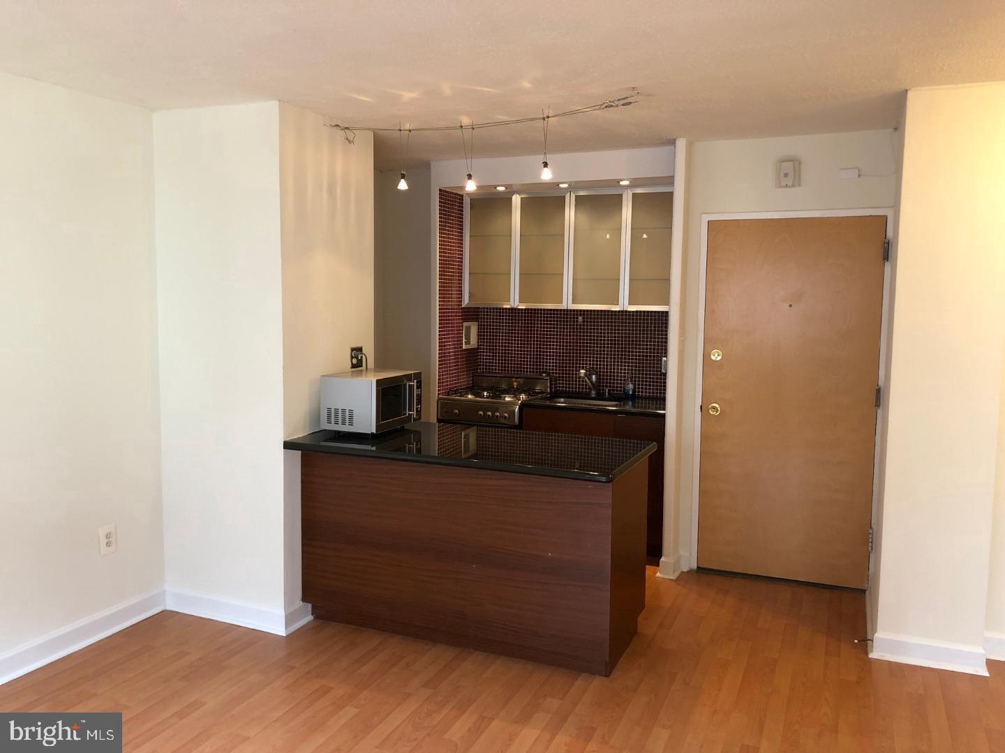 2101-17 Chestnut St #1420