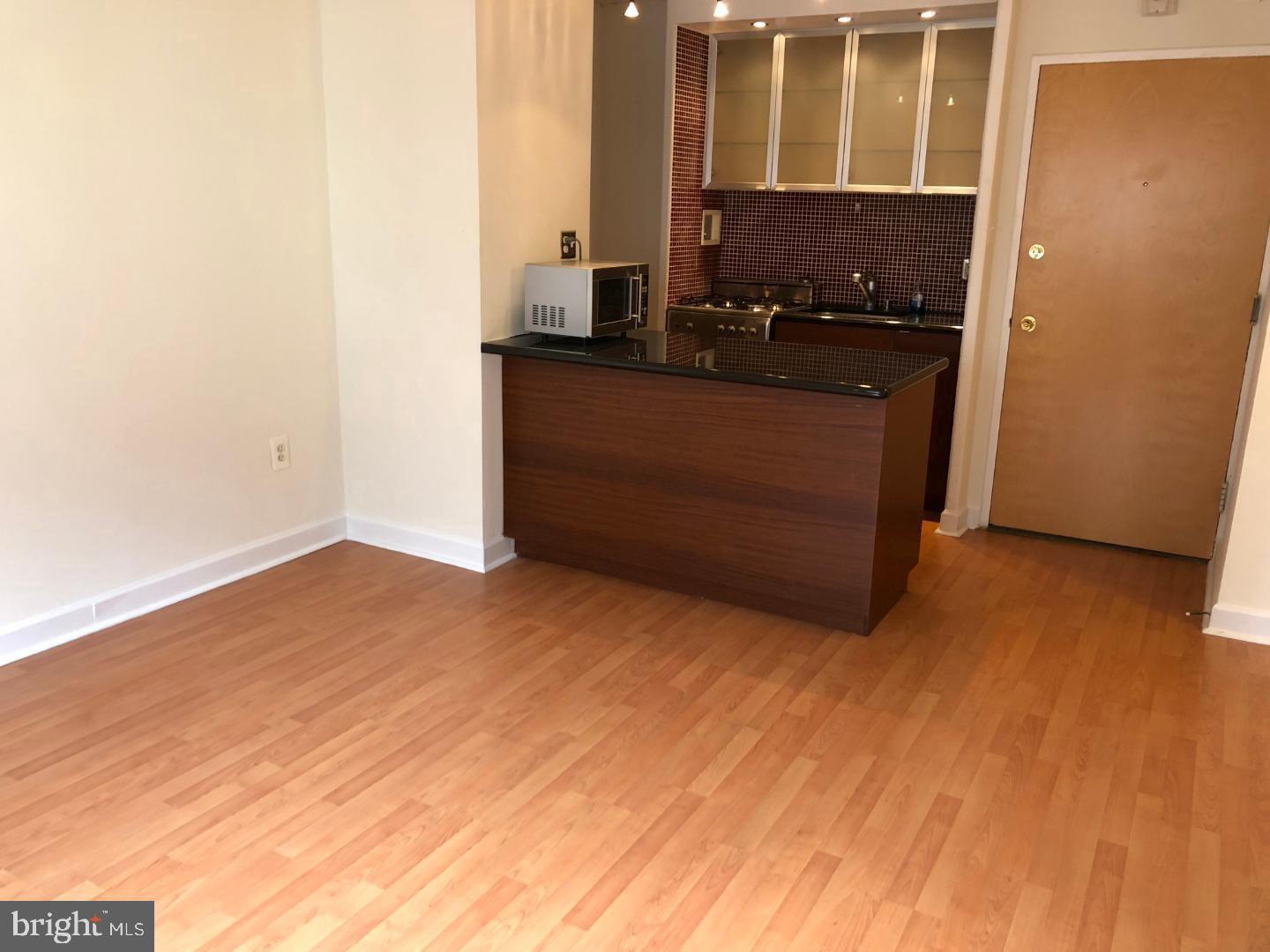 2101-17 Chestnut St #1420