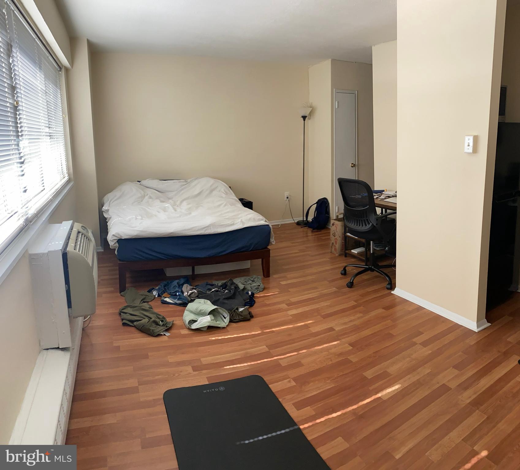 2101-17 Chestnut St #1205