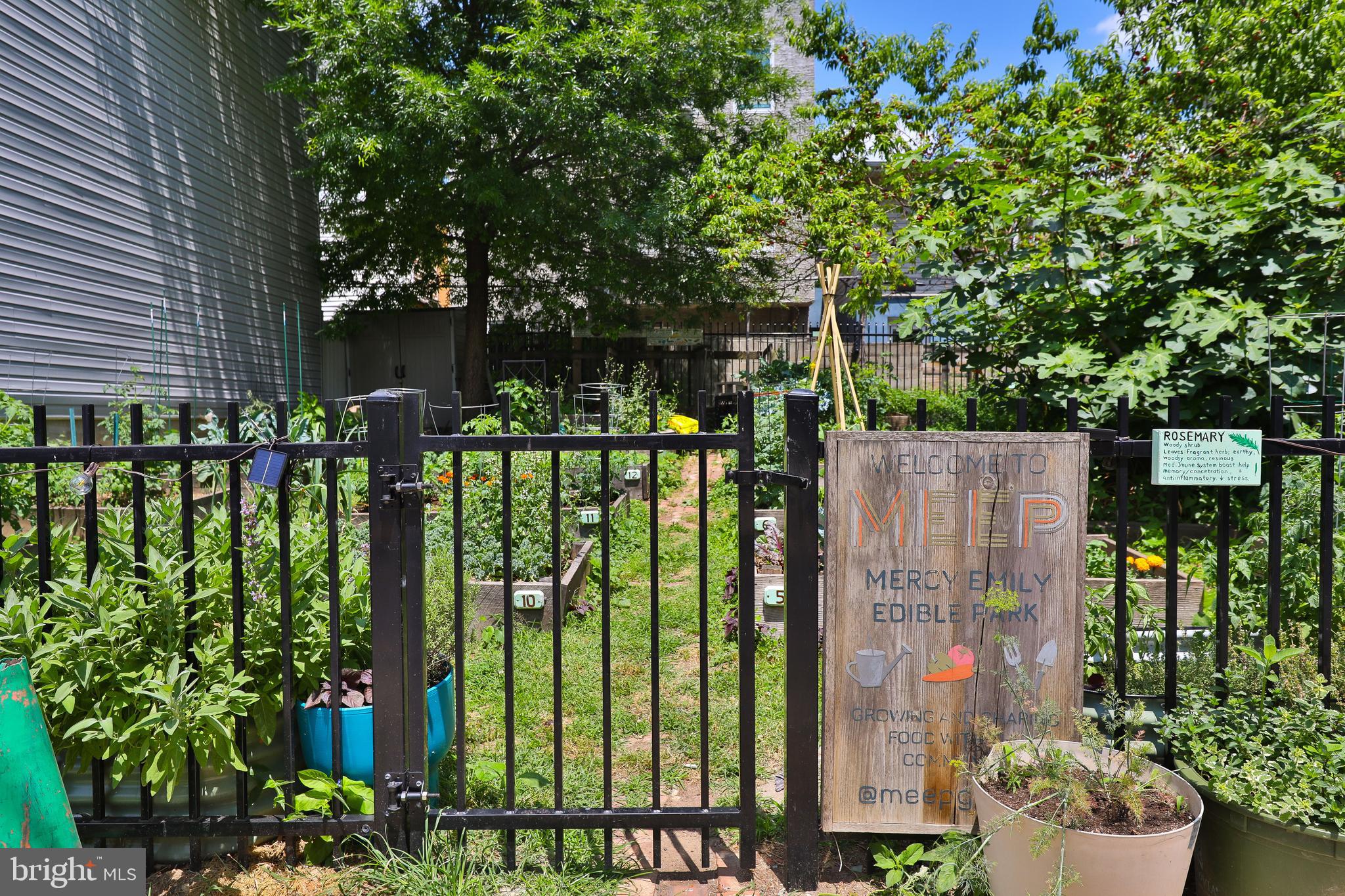 505 Mercy St