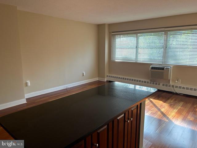 2101-17 CHESTNUT ST #517