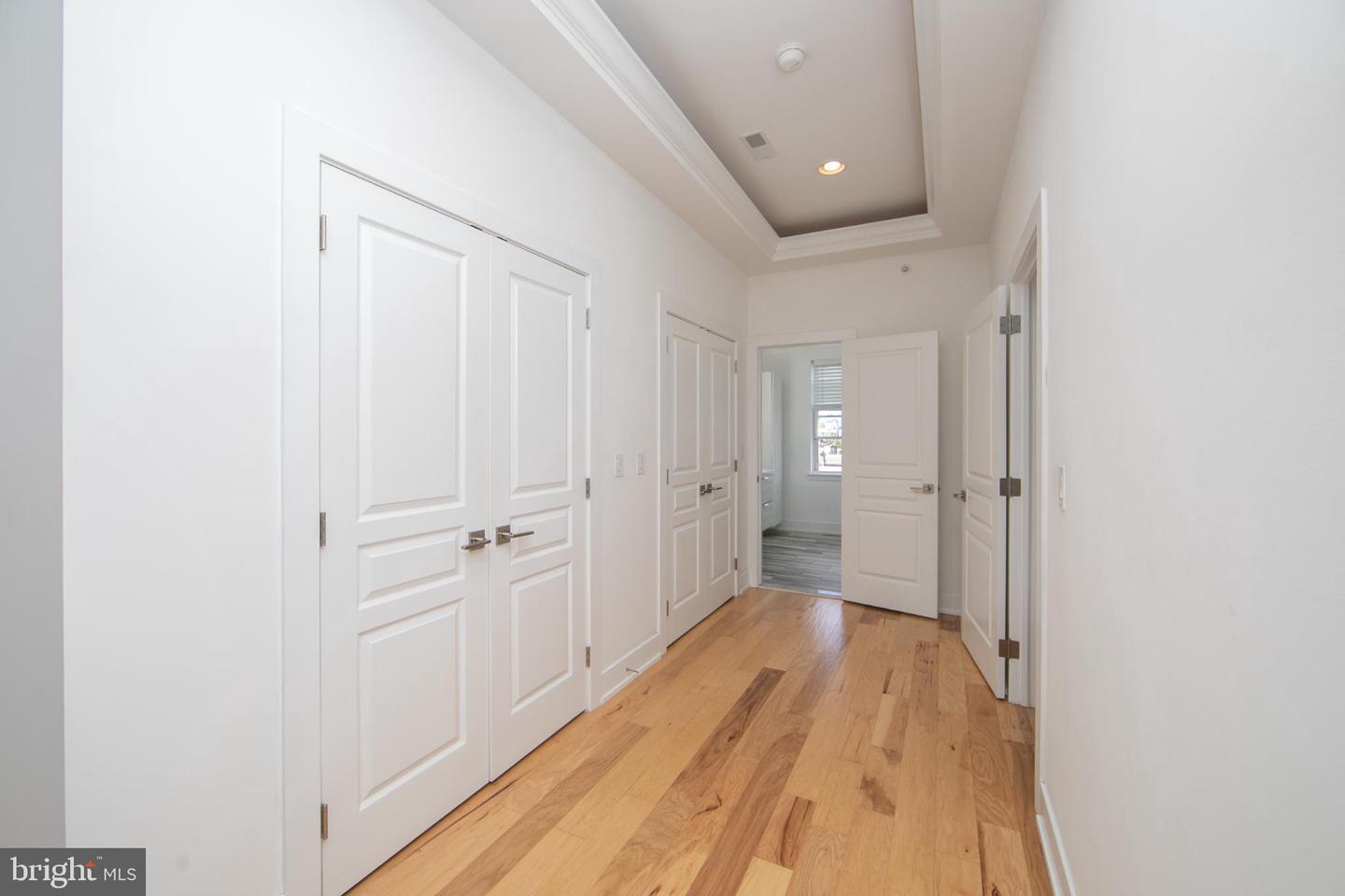 419 Emily St