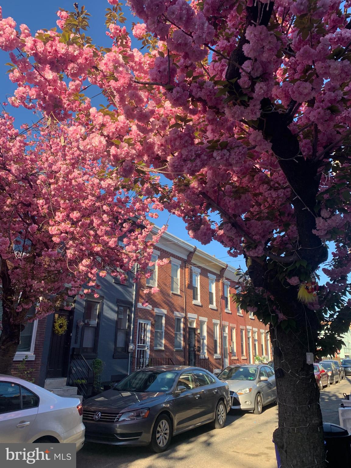429 DUDLEY STREET