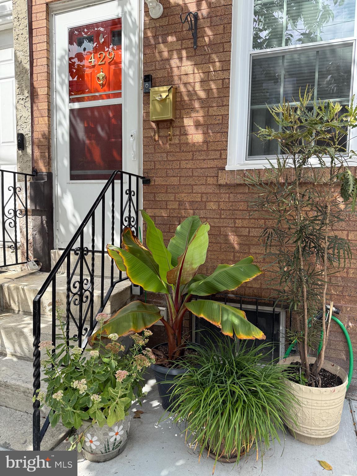 429 DUDLEY STREET