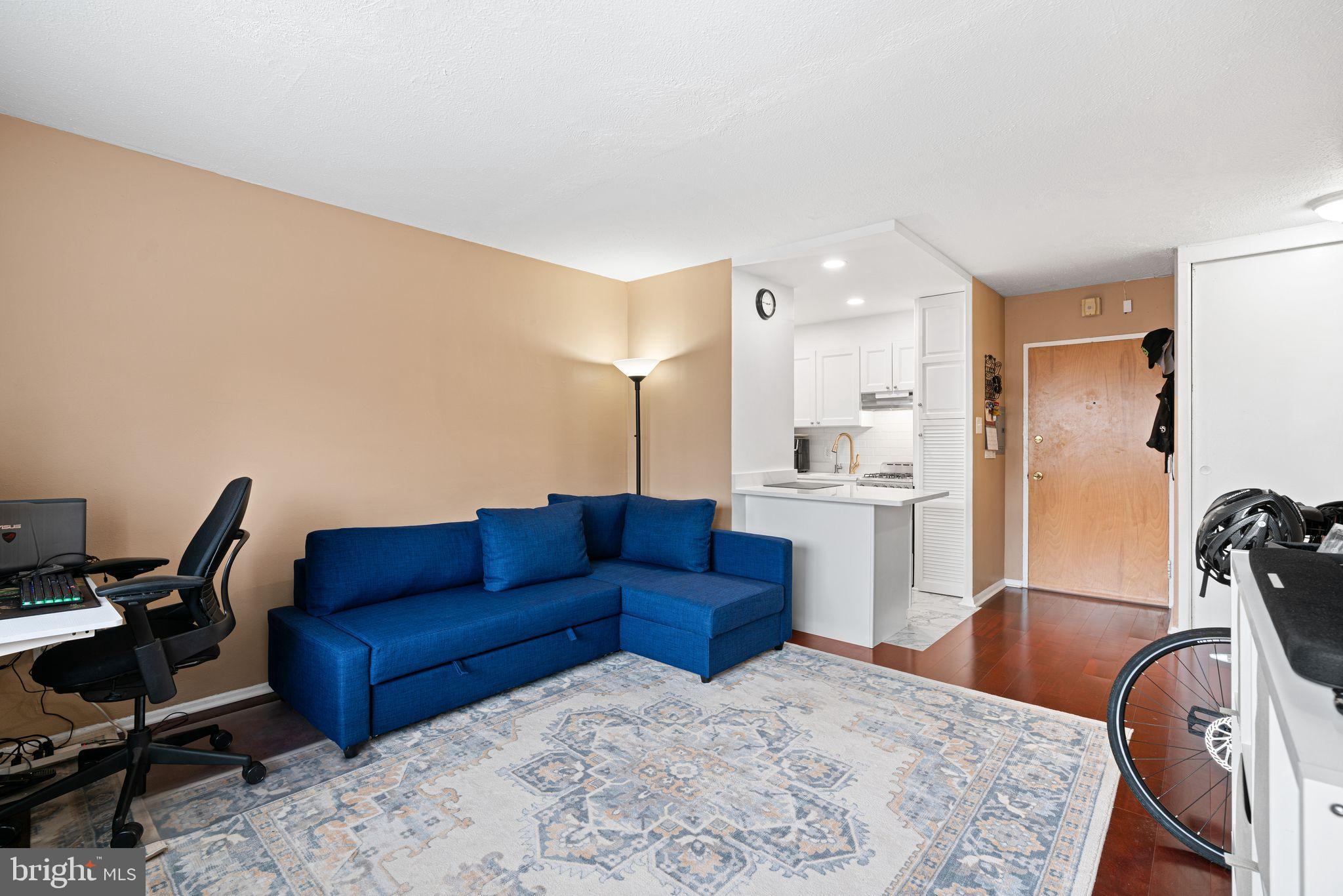 2101-17 CHESTNUT STREET 1011