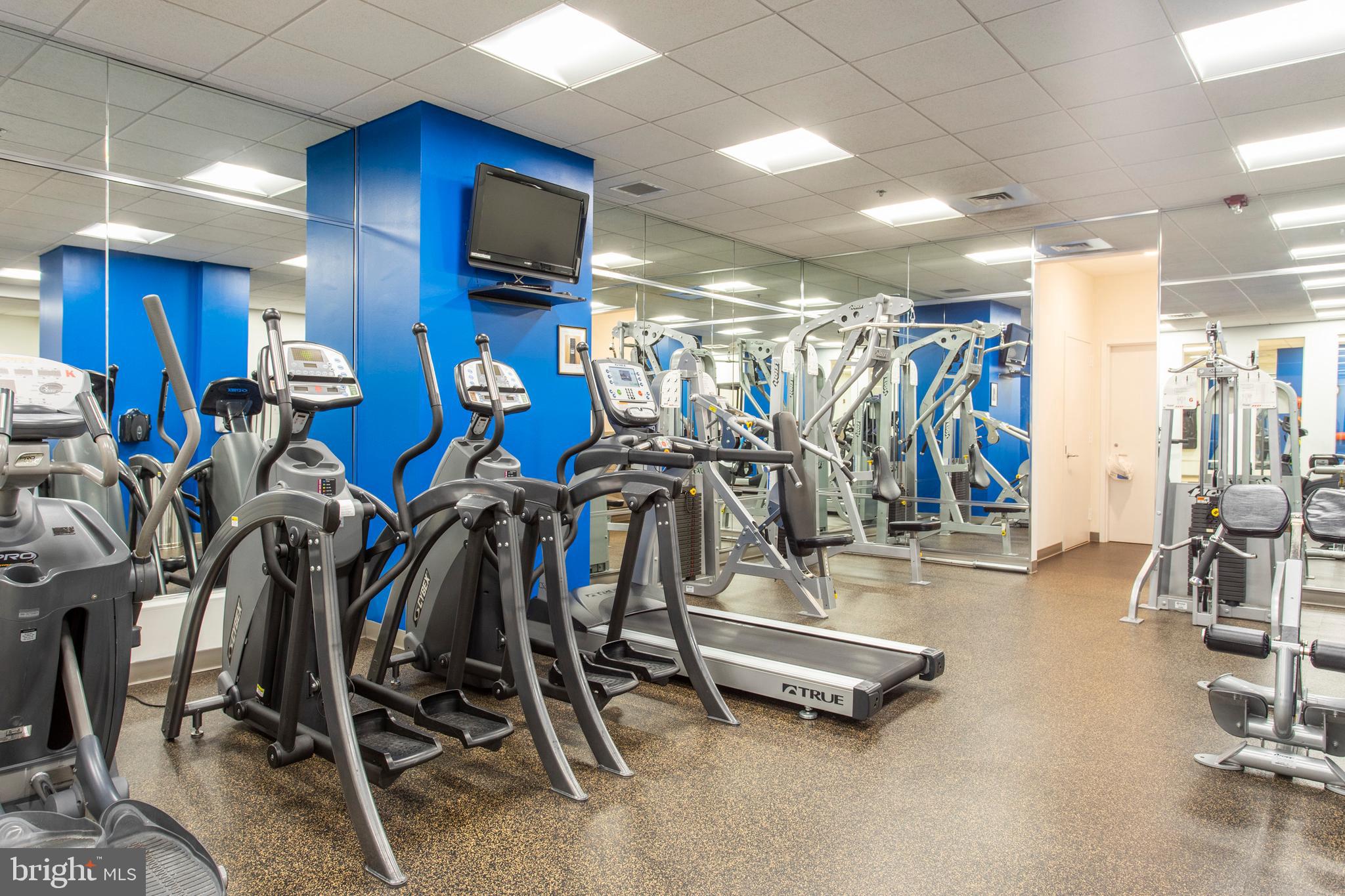 1425 LOCUST STREET 15E