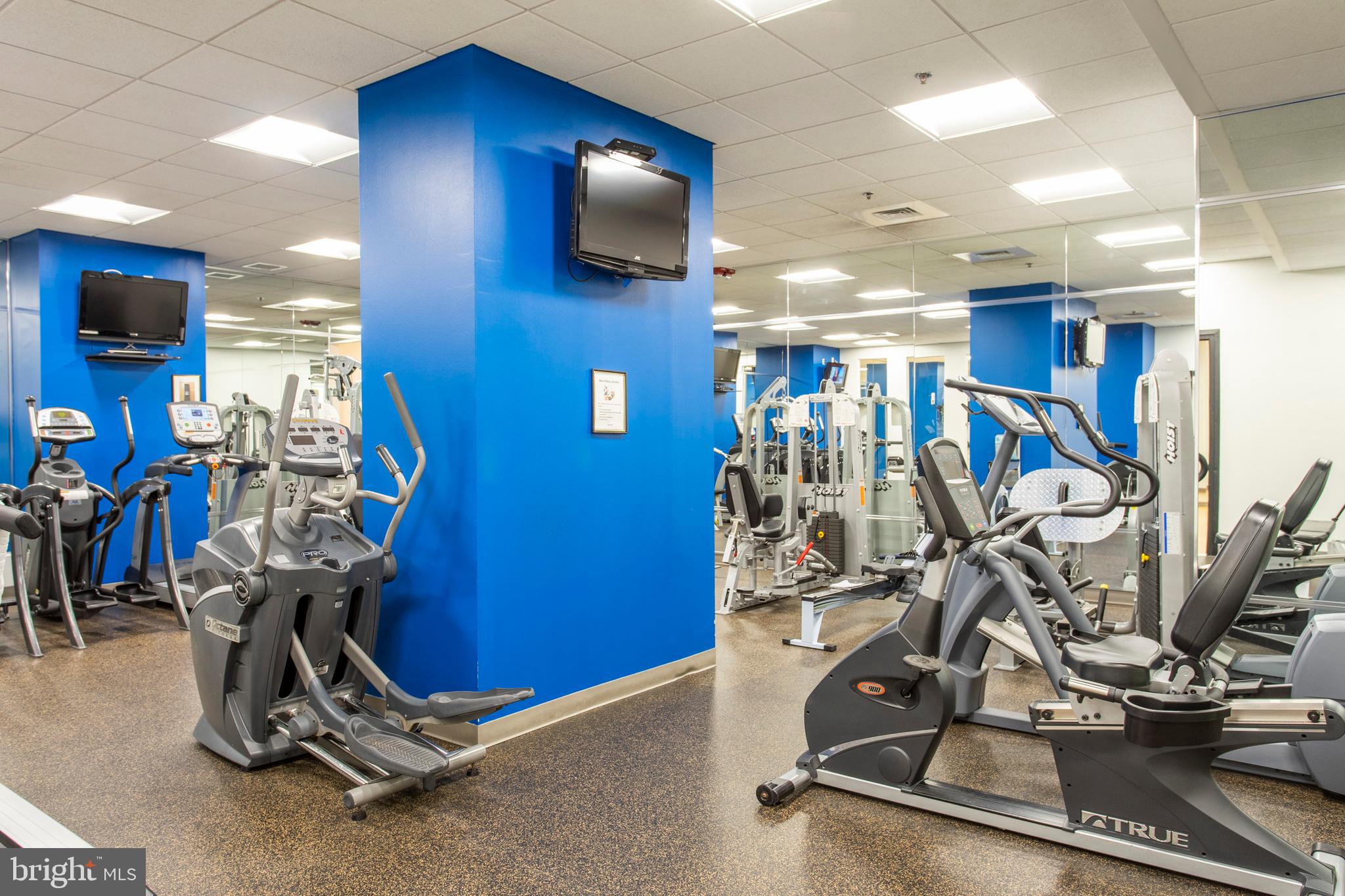 1425 LOCUST STREET 15E