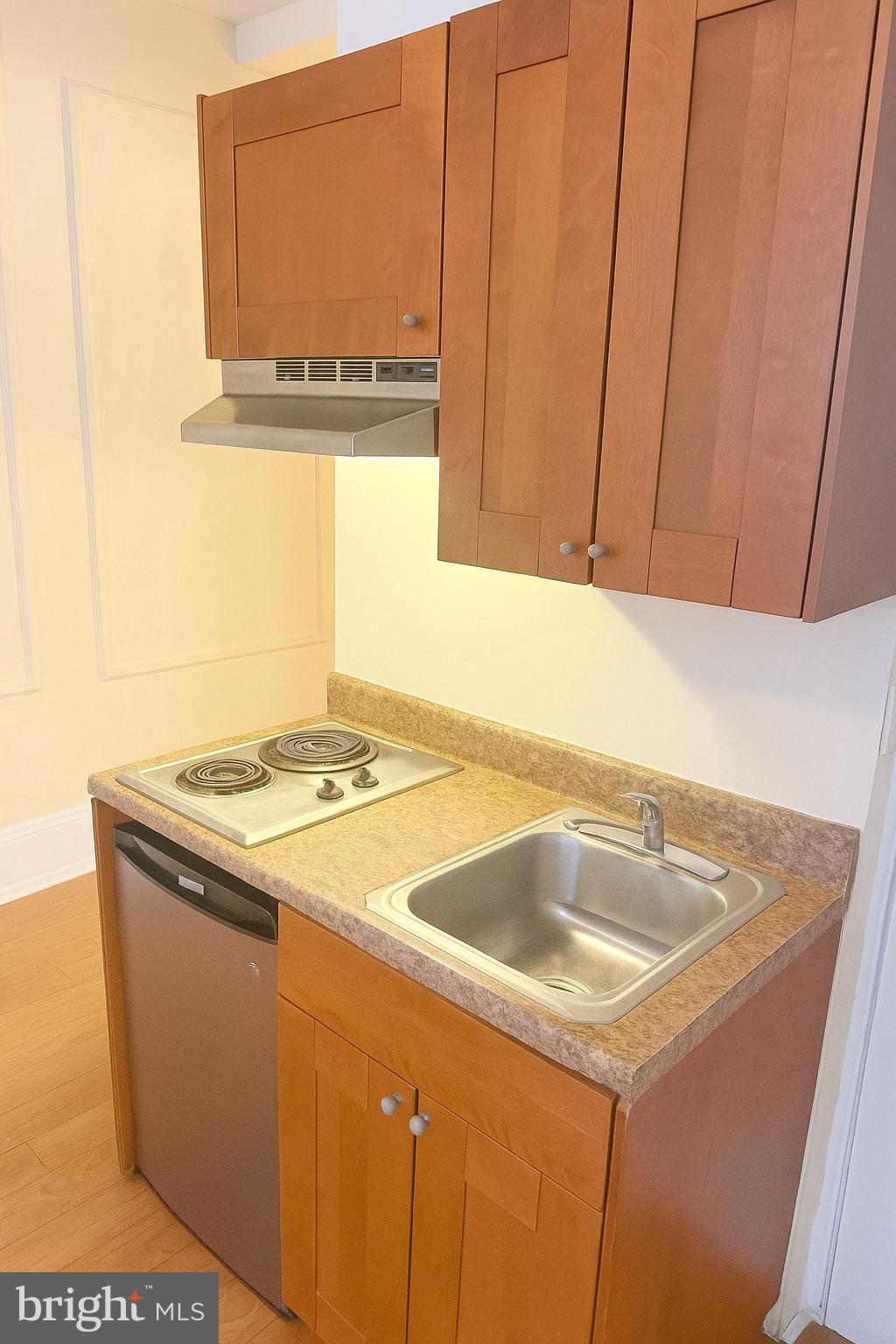 1324 LOCUST STREET 528