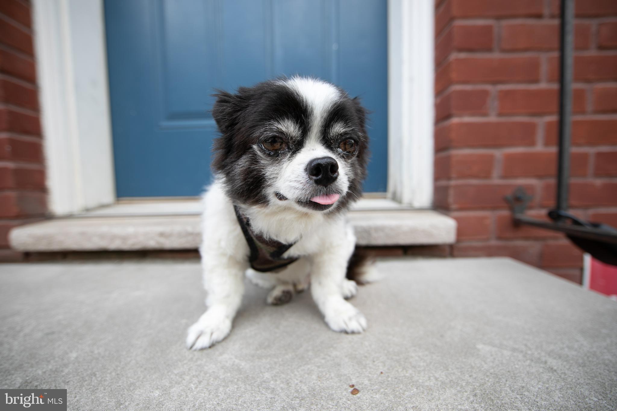 1926 POPLAR STREET 1