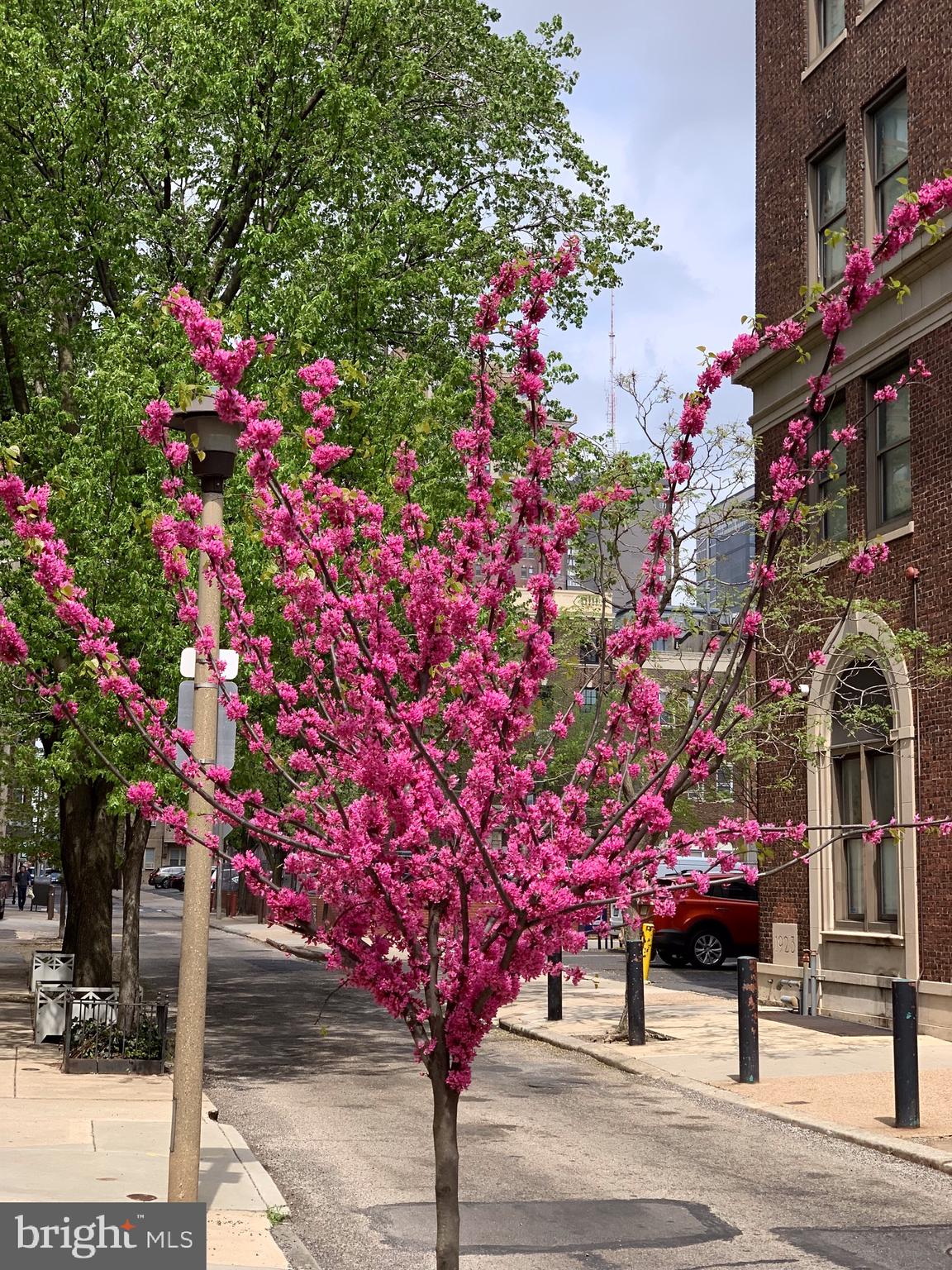 330 S JUNIPER STREET 3B