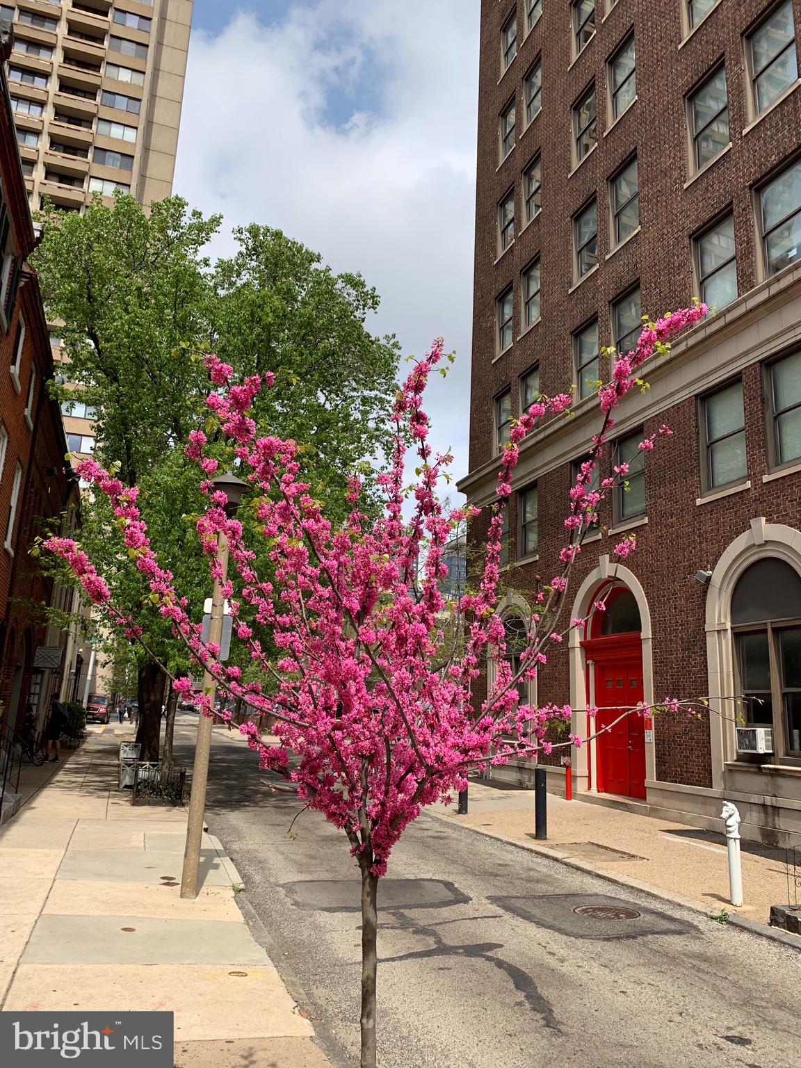 330 S JUNIPER STREET 3B