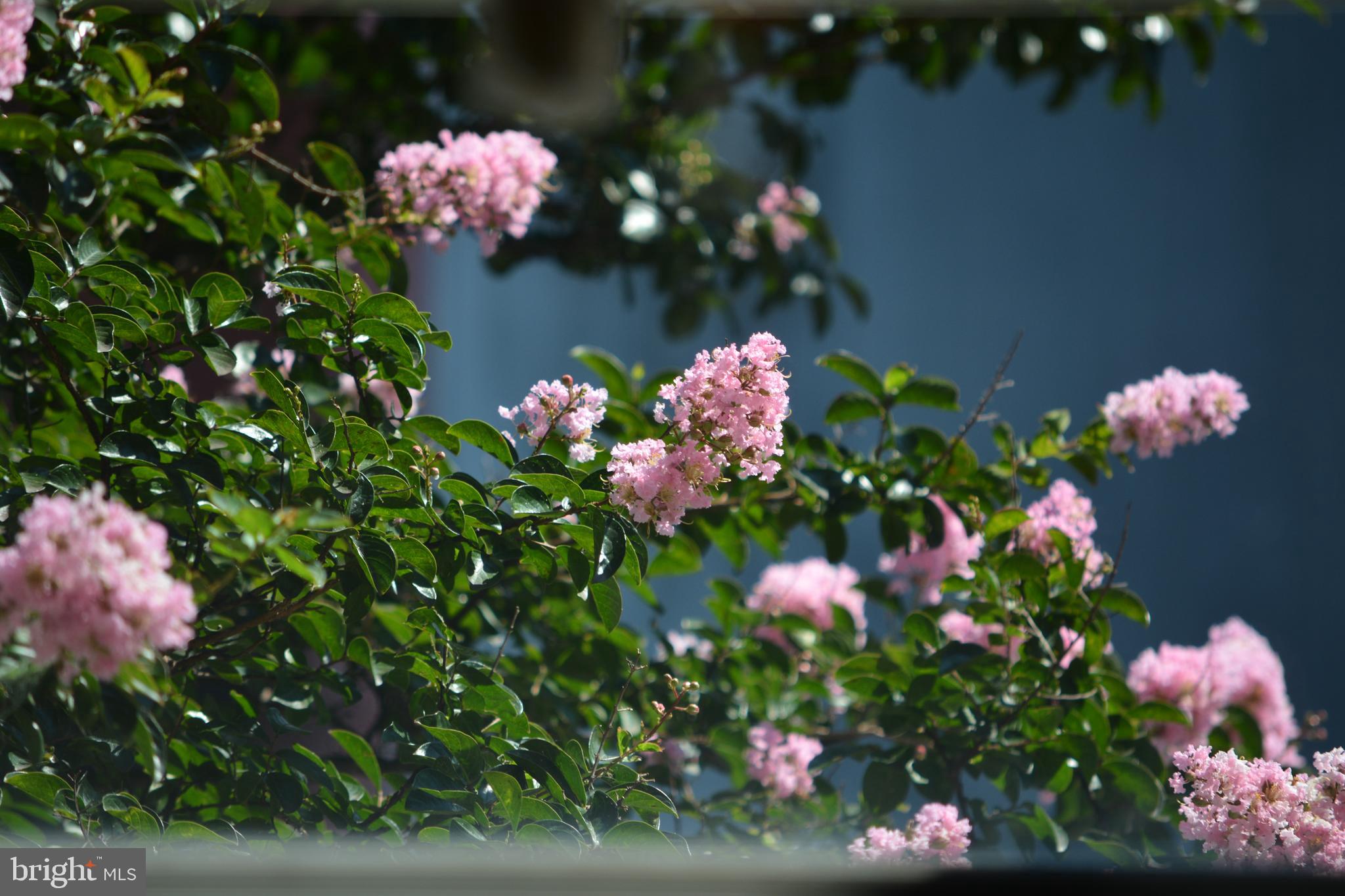 1847 E HAROLD STREET