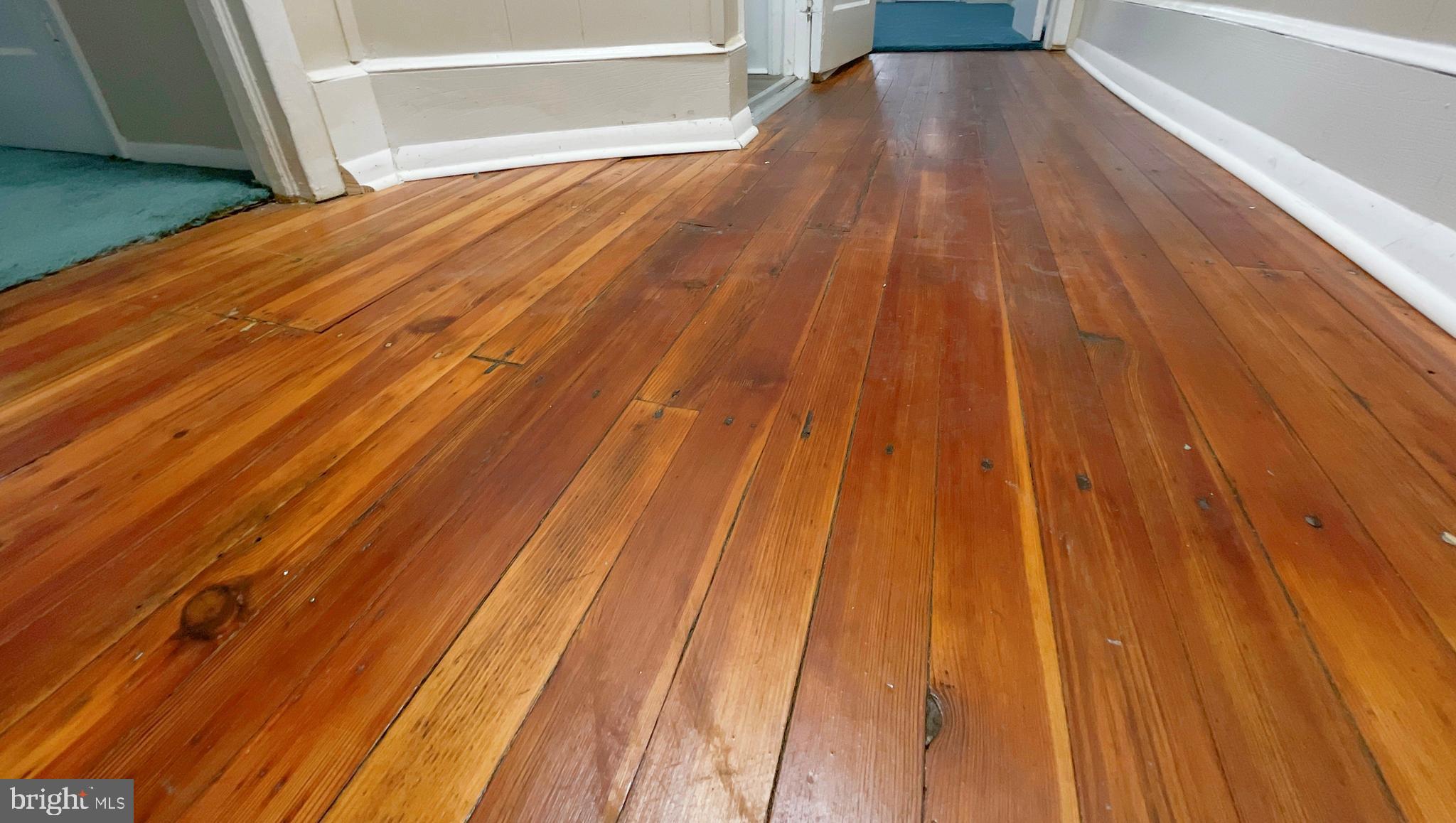 2835 W LEHIGH AVENUE