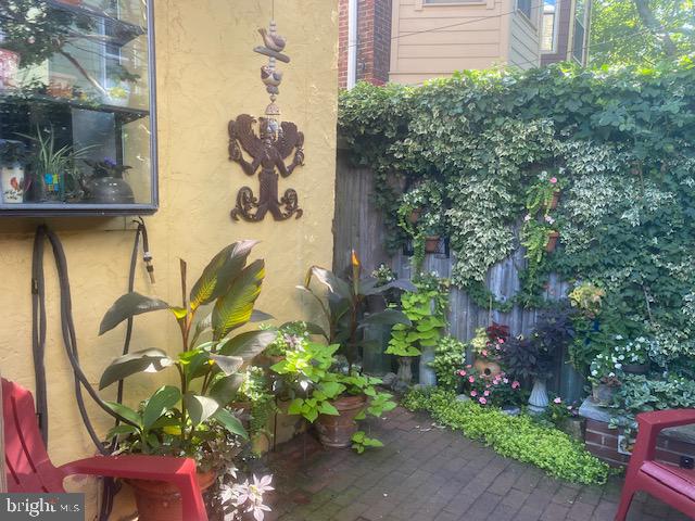 230 MORRIS STREET