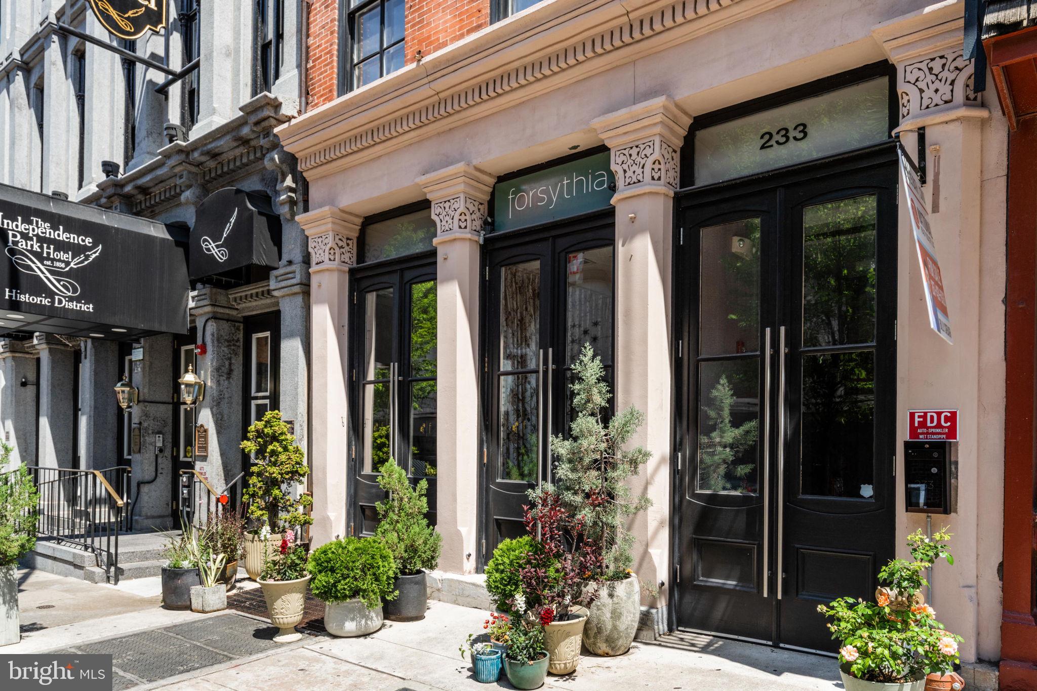 233 CHESTNUT STREET 4