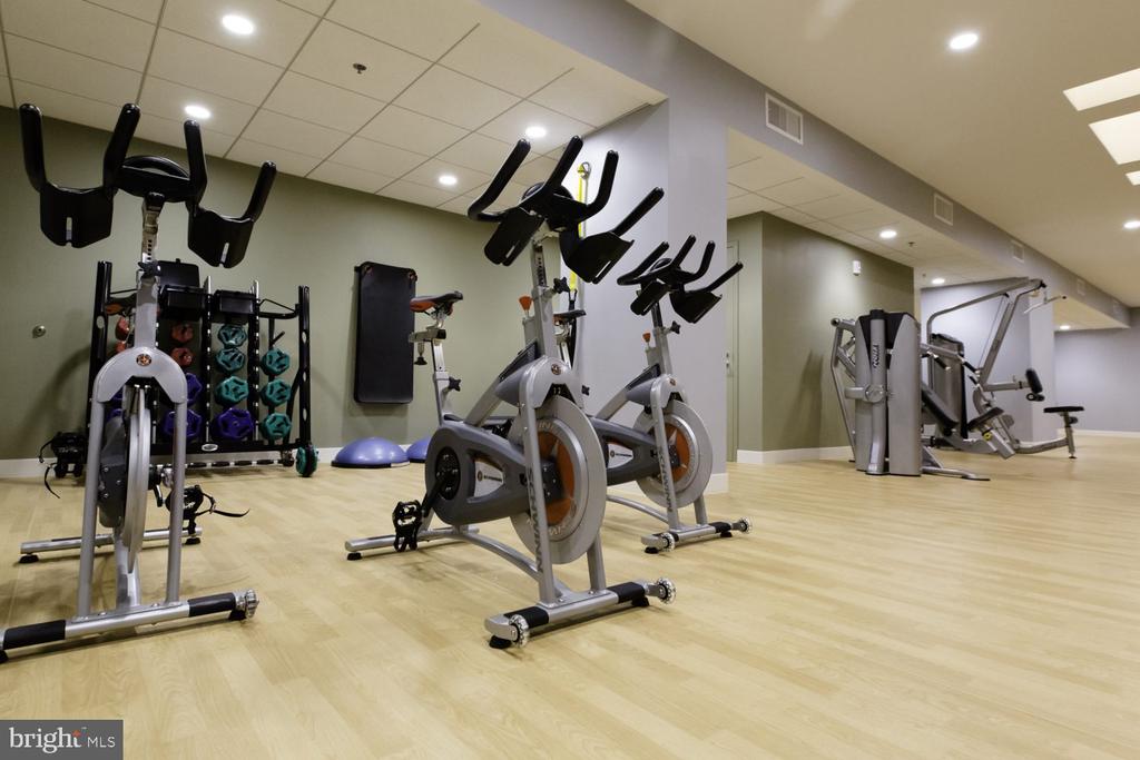 42 S 15TH STREET 2B-1208