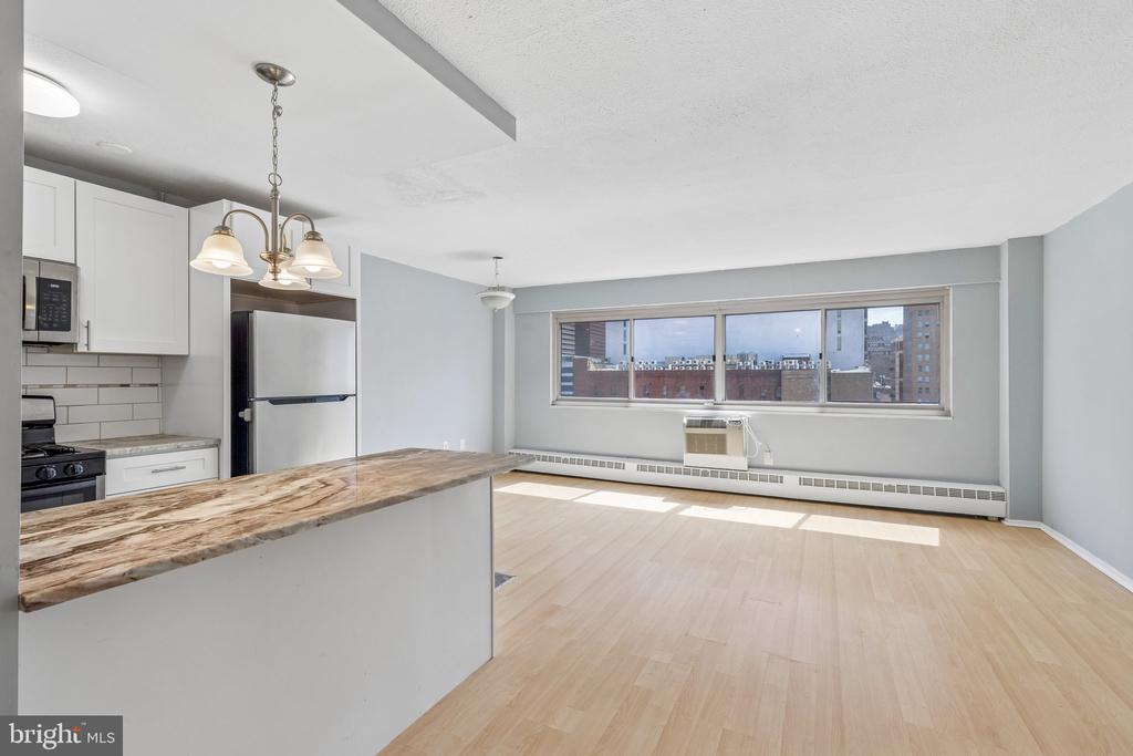 2101 CHESTNUT STREET 1008
