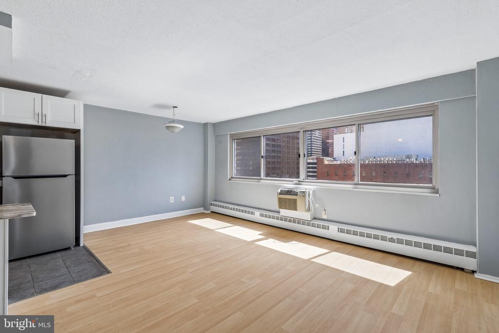 2101 CHESTNUT STREET 1008