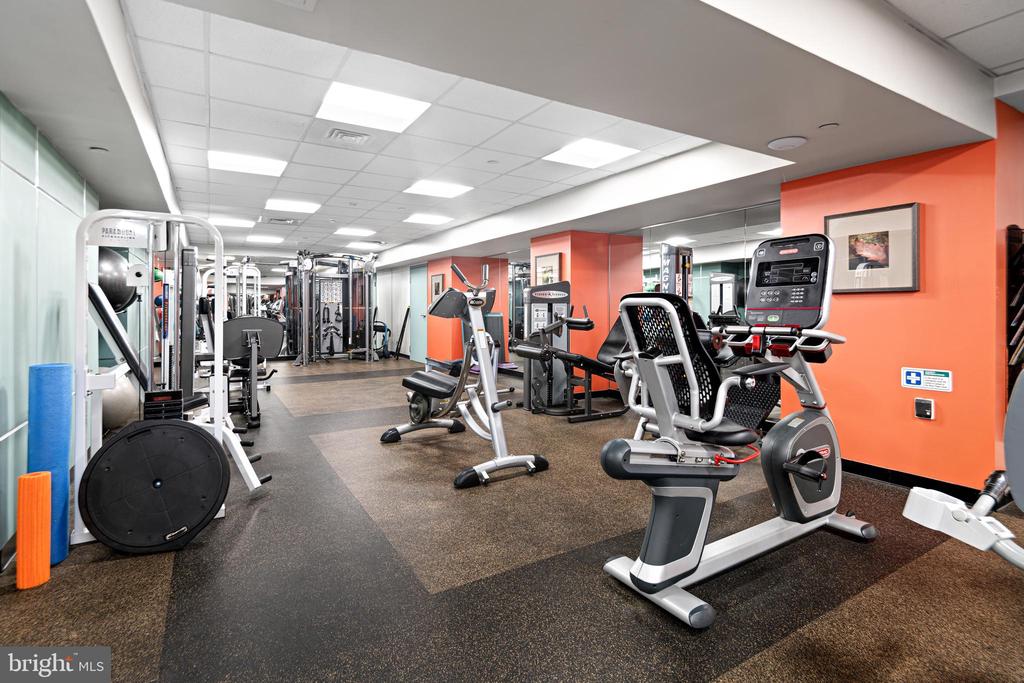 200 LOCUST STREET Unit: 16DN